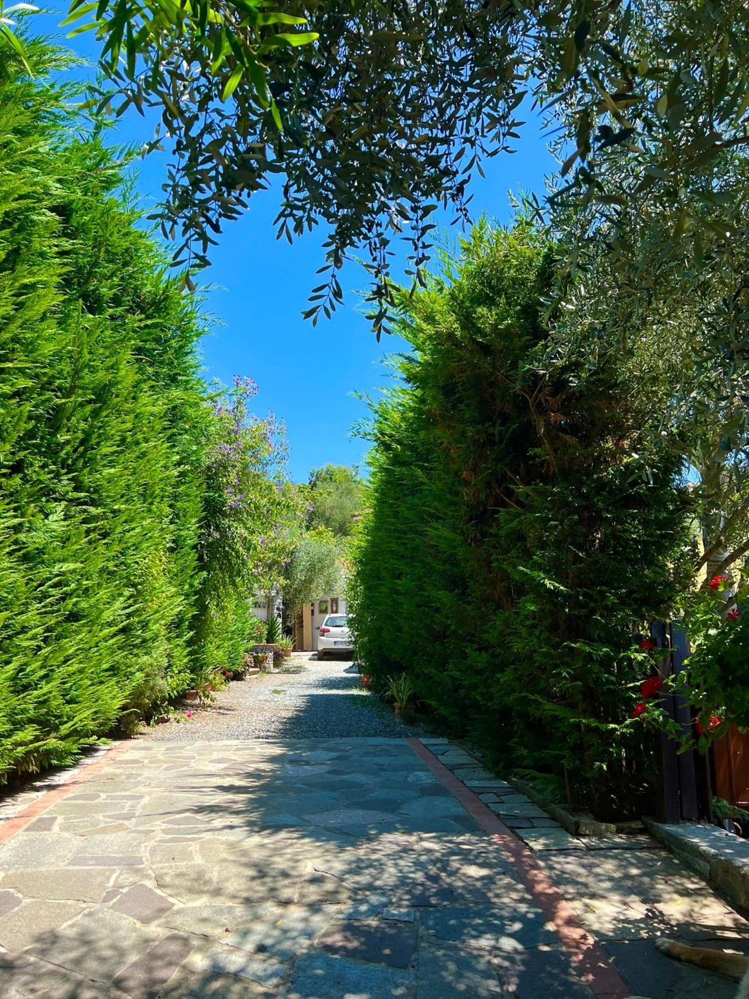 מלון אימפריה Le Jardin Sur Mer Avec Bike Et Mtb Tour מראה חיצוני תמונה